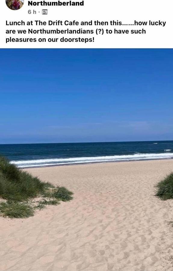Sunny Daze Villa Morpeth Esterno foto